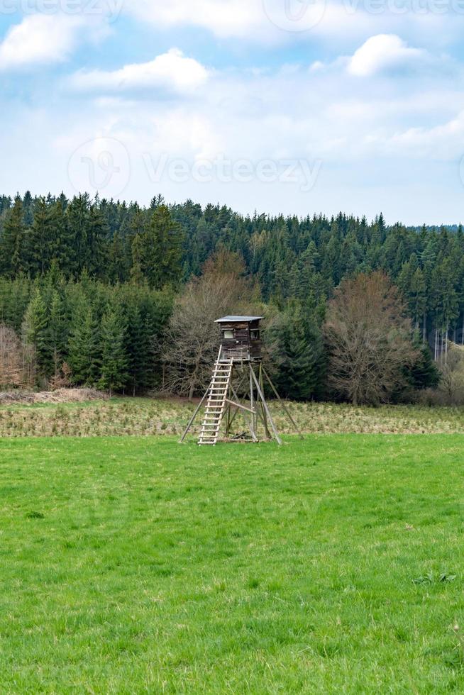 ranger stand at the edge of the forest photo