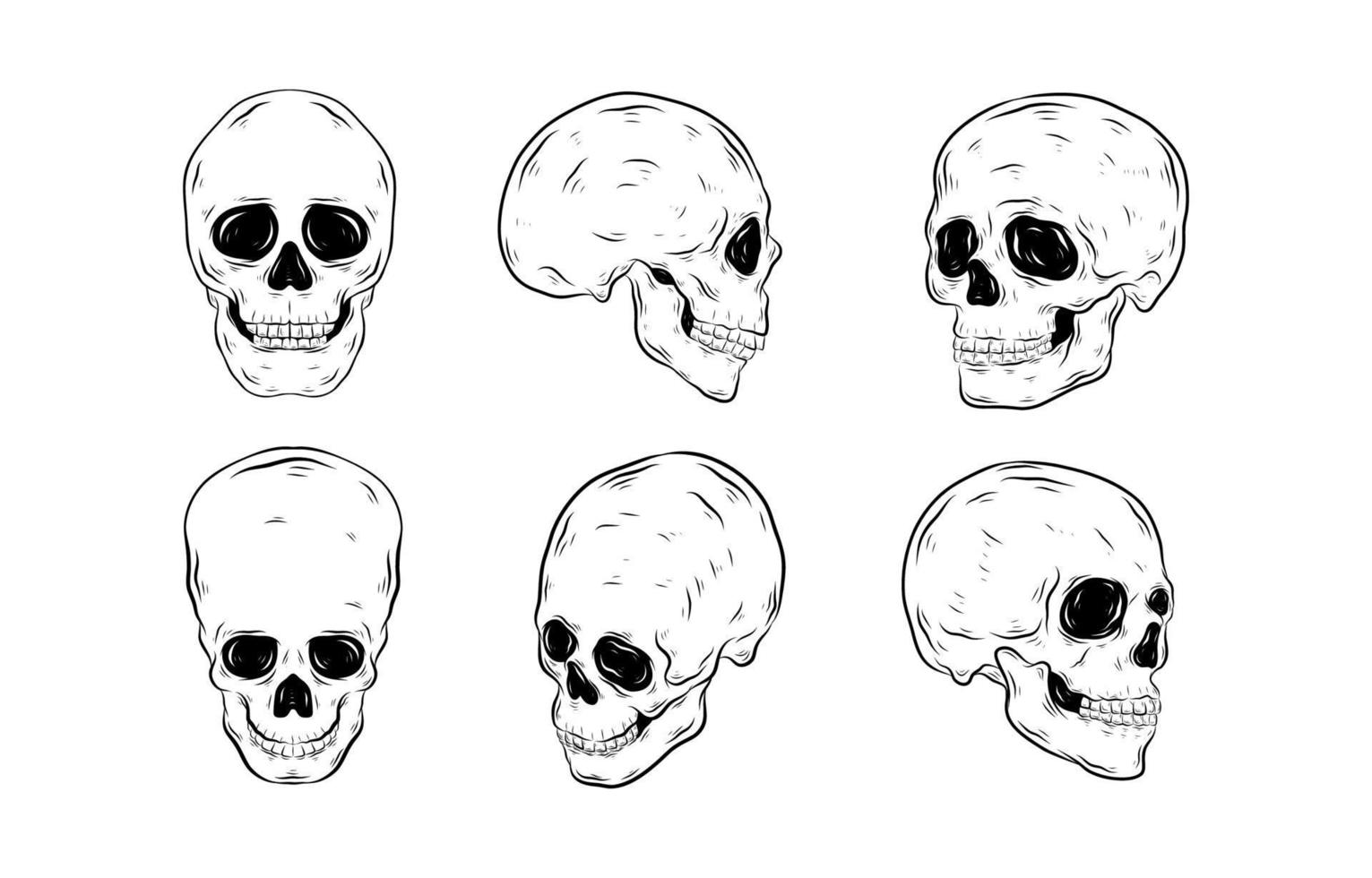 Realictic Skull Hand Drawn Element vector