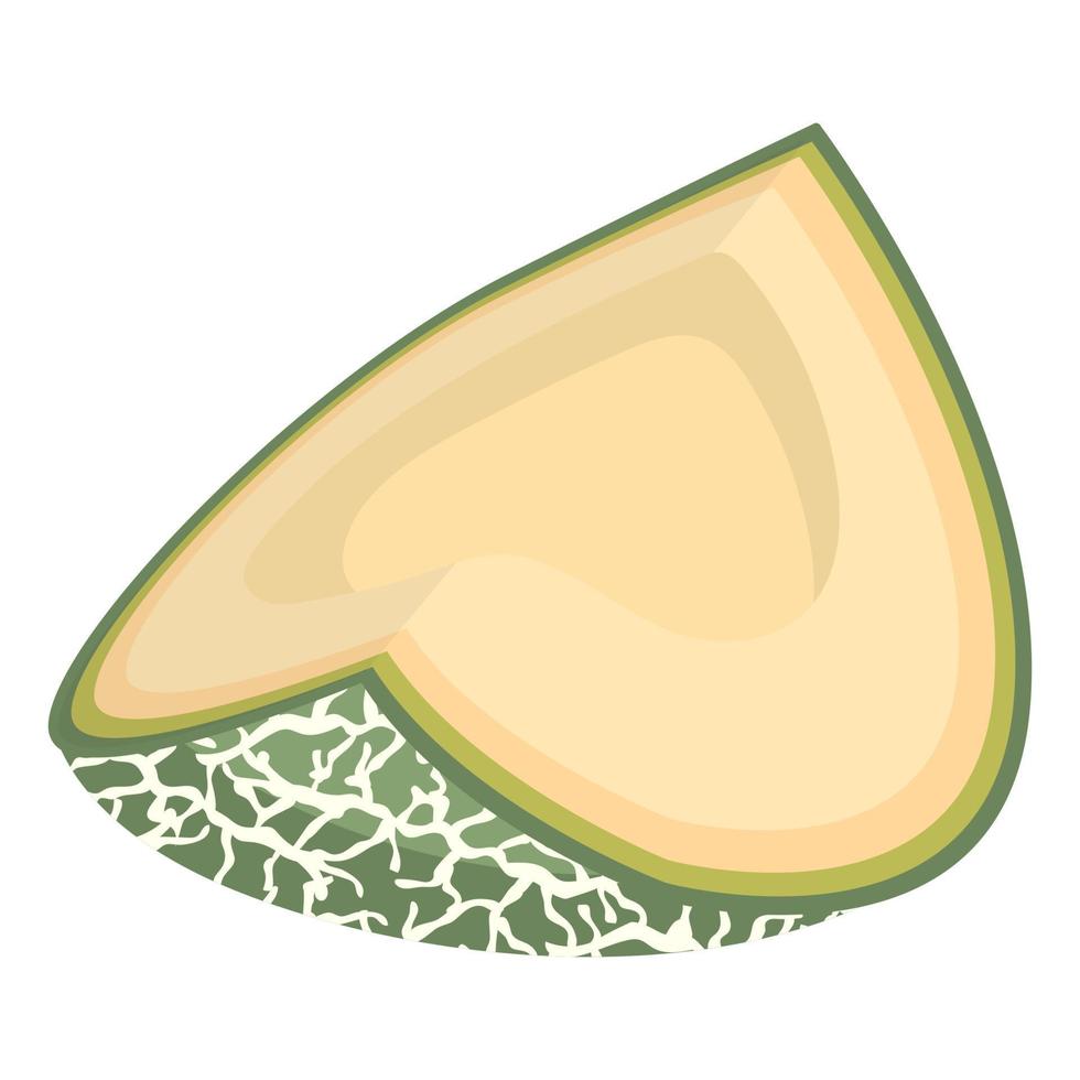 Rebanada de fruta de melón recién cortada aislada sobre fondo blanco. melón cantalupo. frutas de verano para un estilo de vida saludable. fruta organica estilo de dibujos animados ilustración vectorial para cualquier diseño. vector