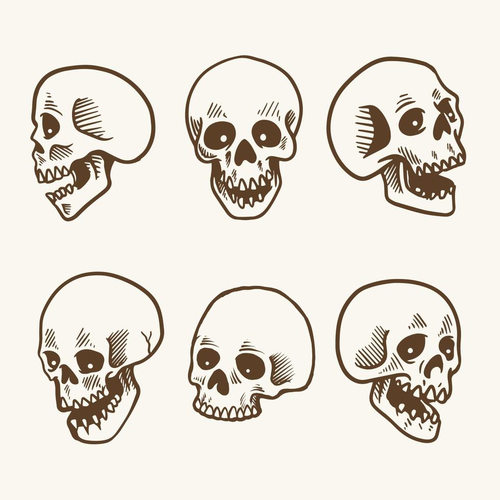 Skull Head Vector Line Illustration