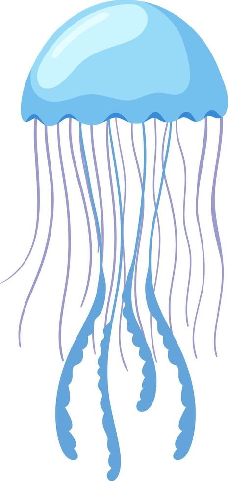 Jellyfish in cartoon style vector