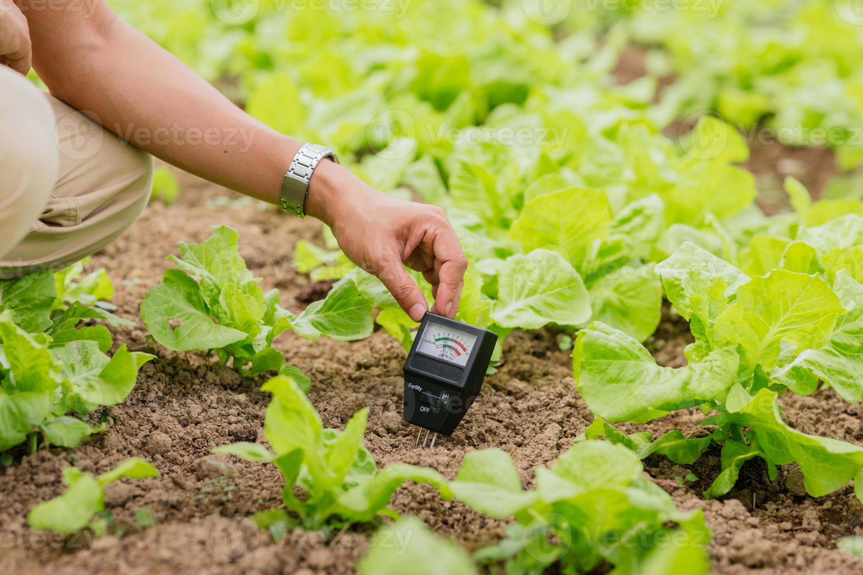 El Primer Plano De La Mano Del Agricultor Utiliza El Medidor De Ph Del el-primer-plano-de-la-mano-del-agricultor-utiliza-el-medidor-de-ph-del