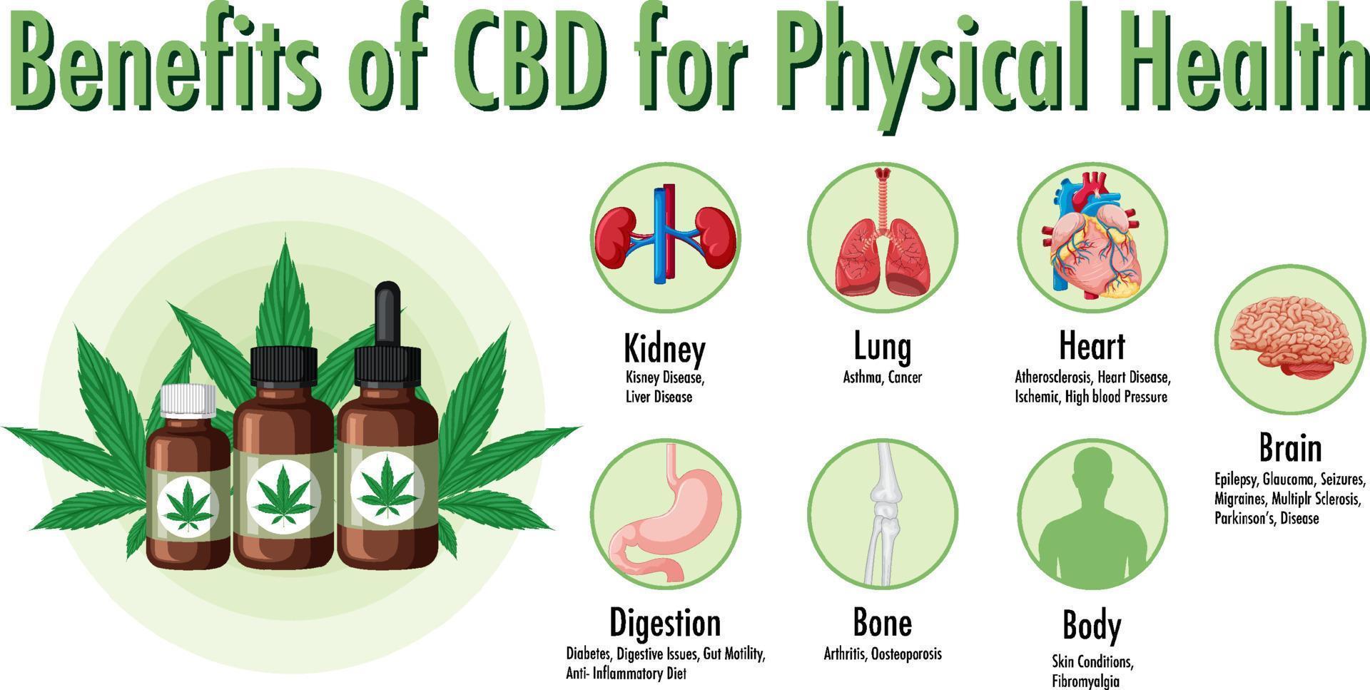 Benefits of CBD for physical health diagram vector