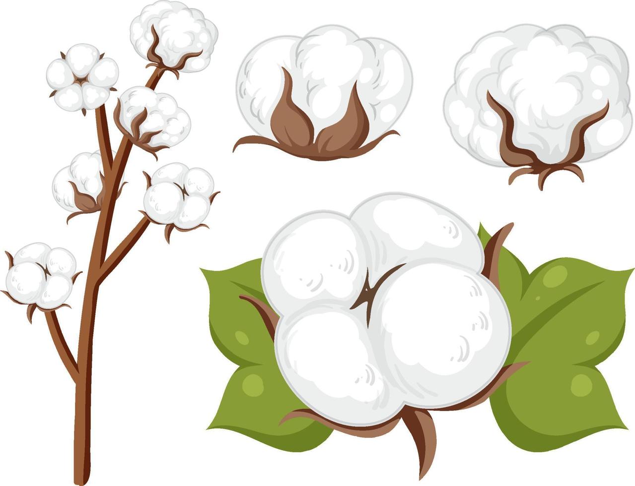 Set of cotton flowers isolated vector