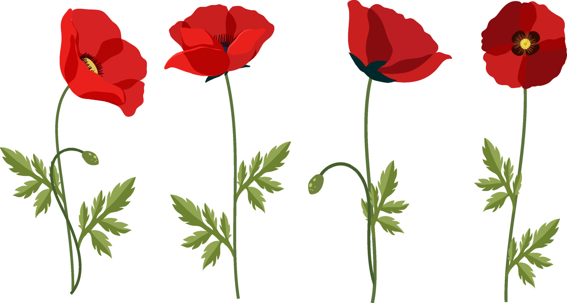 Top 45+ imagen poppy flower background - thpthoangvanthu.edu.vn