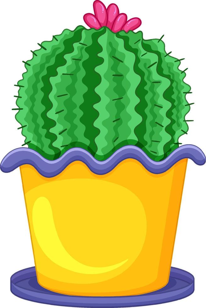 cactus en una olla aislada vector