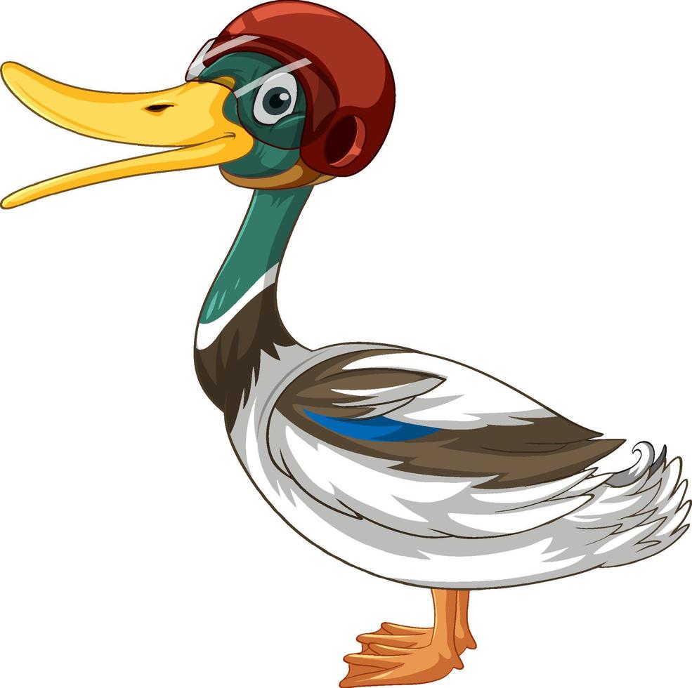 Cute duck wearing helmet on white background vector