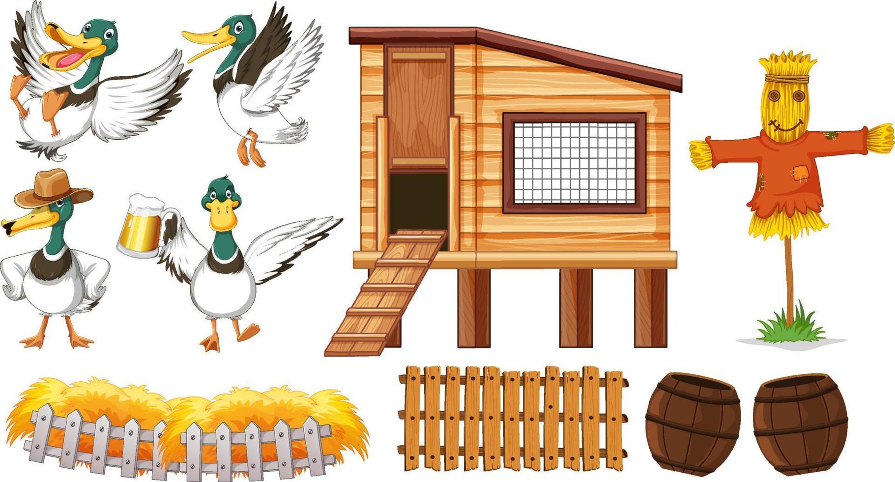 Farm objects set with wild ducks cartoon vector