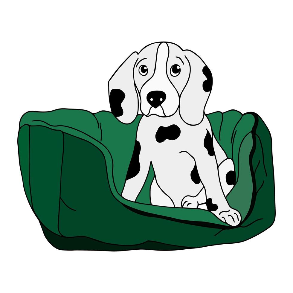 Dalmatian puppy is sitting on the couch in his house.  concept of pet-friendly hotel. Doodle style. Vector.  sketch. The puppy is lying on the pillow. Pet products. Barkitecture. vector