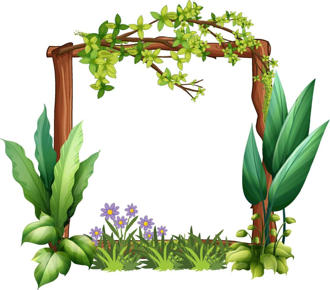 Frame of liana branches and leaves vector