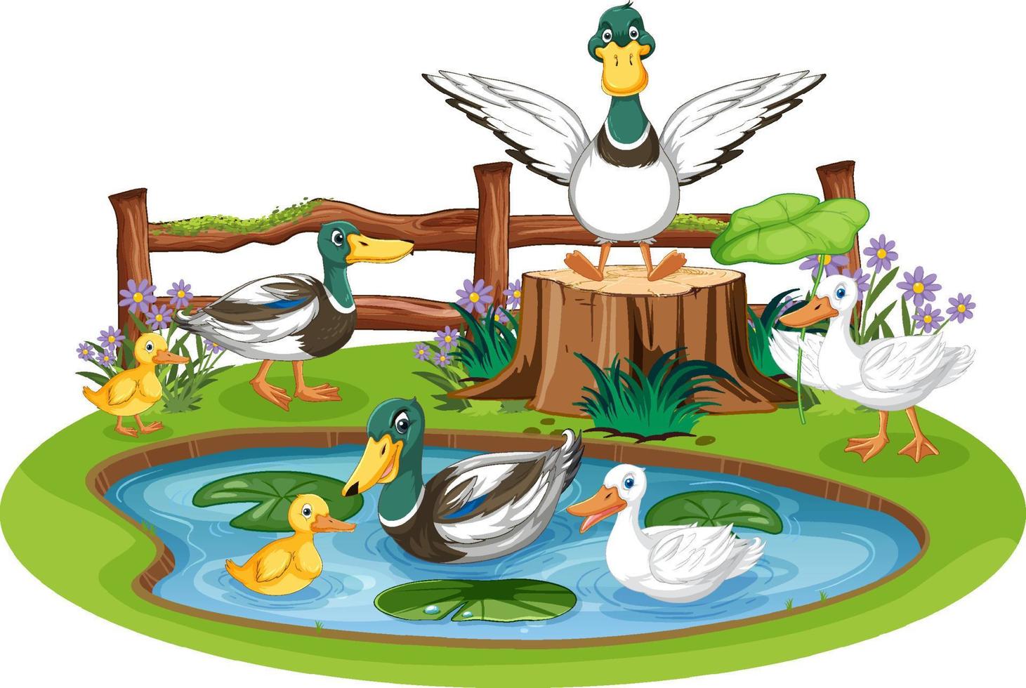 familia de patos en el estanque vector