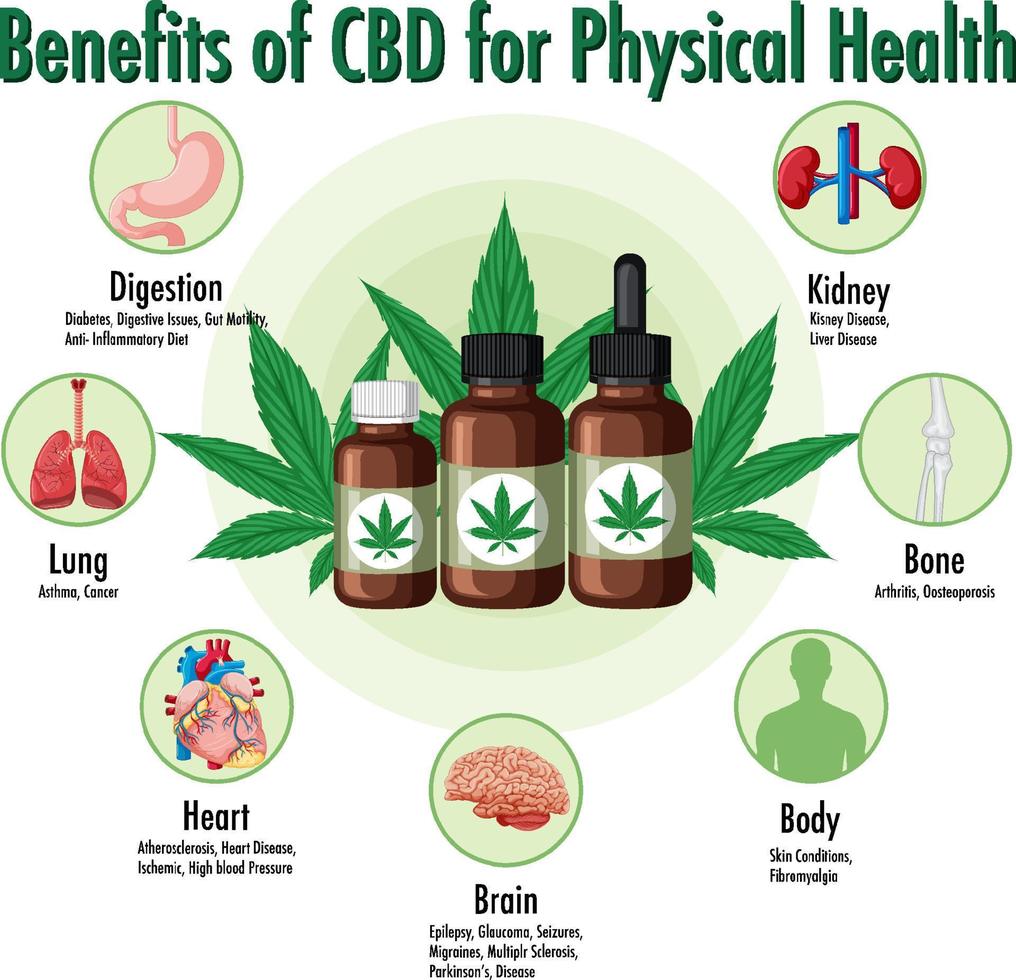 Benefits of CBD for physical health diagram vector