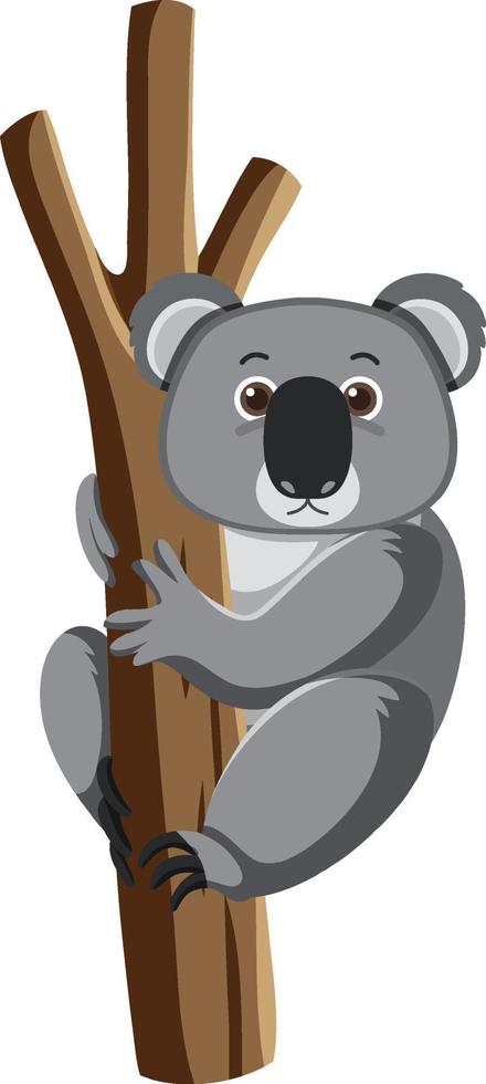 Koala climb on a tree in cartoon style vector