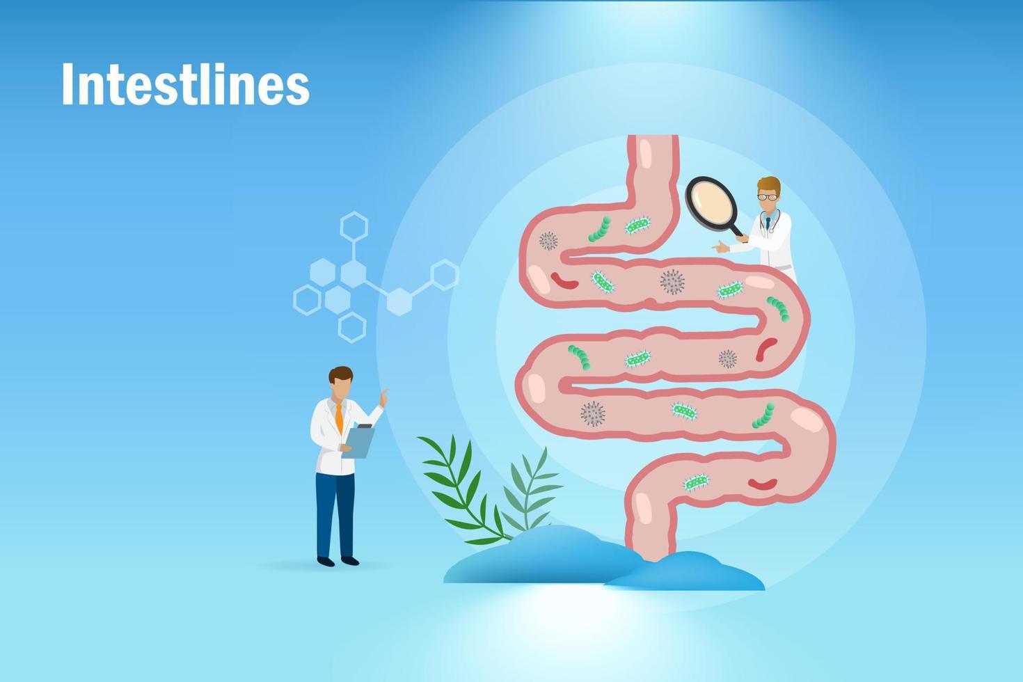 médico diagnostica y examina el tracto gastrointestinal, el intestino y el sistema digestivo del paciente. El trastorno digestivo causa inflamación intestinal, dolor y problemas de indigestión ácida. vector