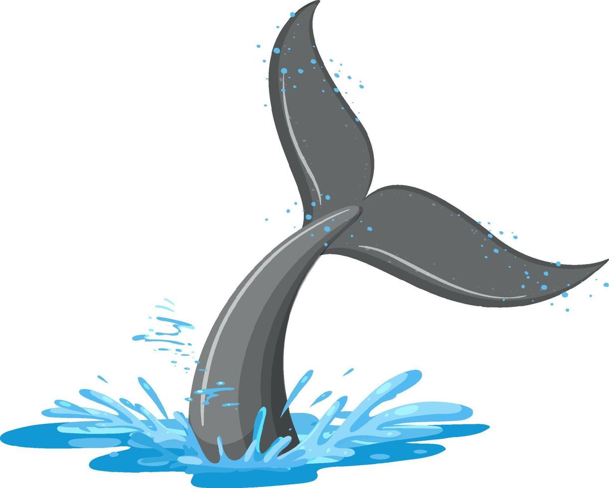 A tail of a whale in the water vector