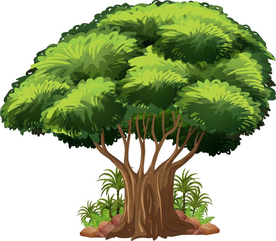 Big tree isolated cartoon vector