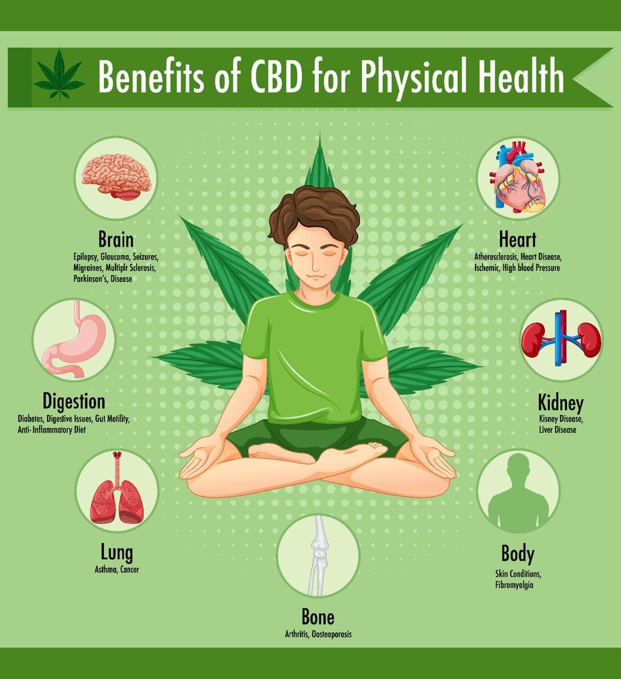 diagrama de beneficios de cbd para la salud física vector