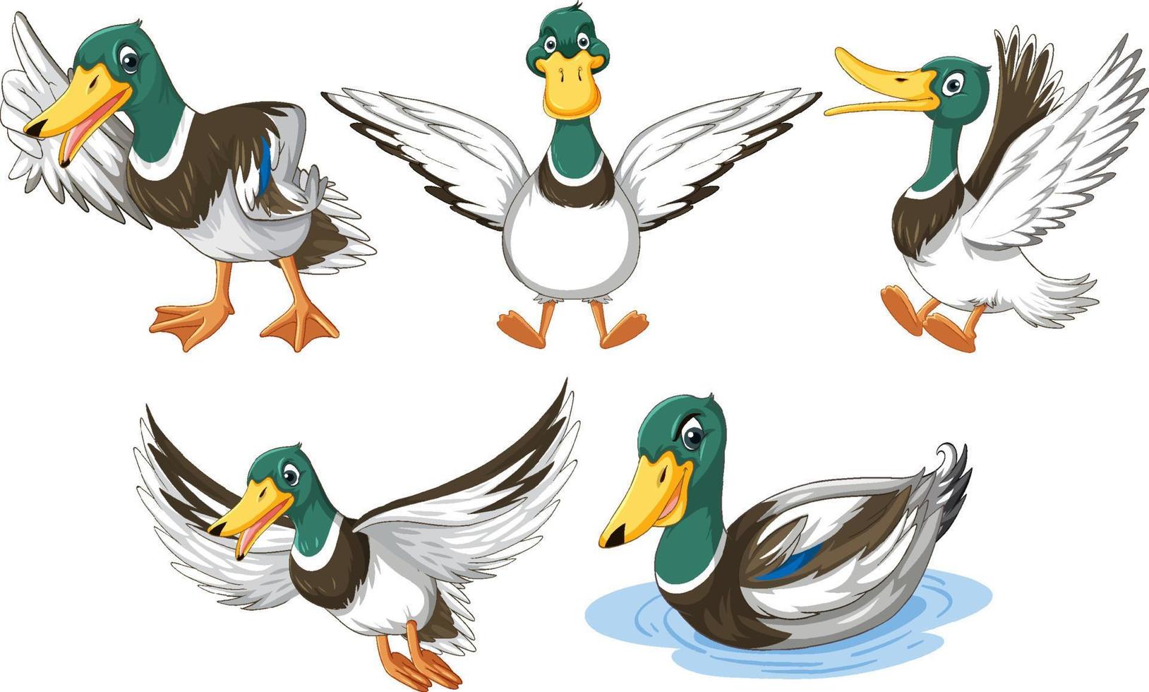 Set of duckling doing different activities vector