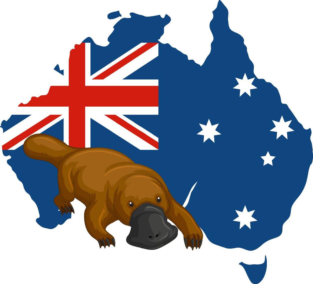 dibujos animados de animales australianos ornitorrinco vector