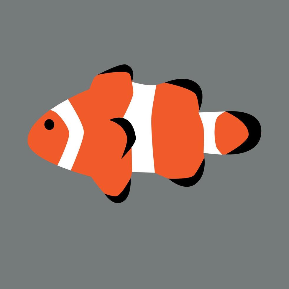 nemo clown fish vector illustration