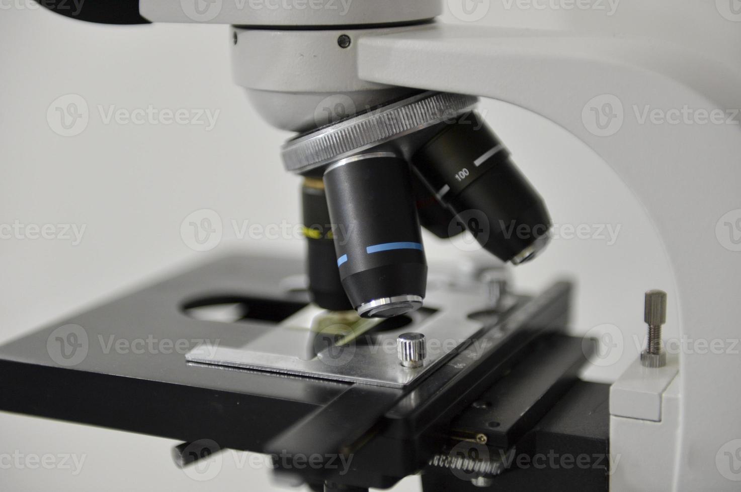 microscope close up photo