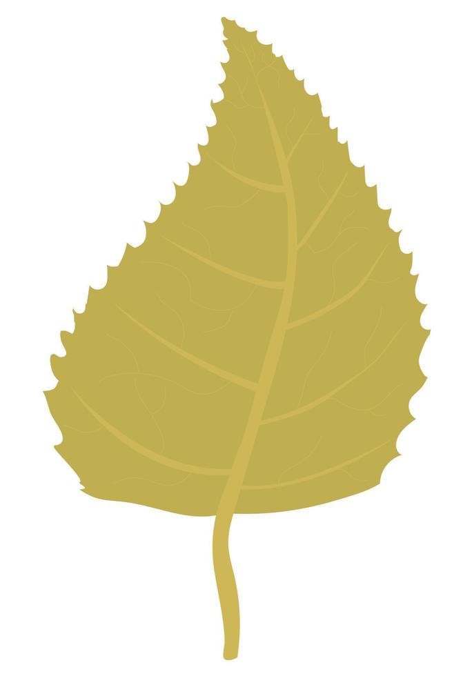 Yellow autumn birch leaf. Vector illustration isolated on white background.