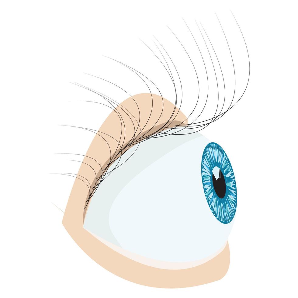 ojo humano. ilustración vectorial aislado sobre fondo blanco. vector