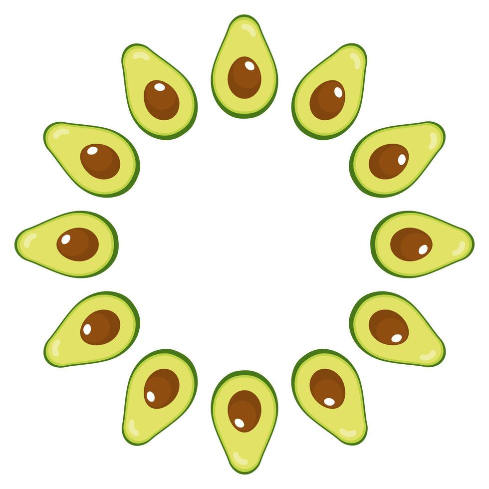 Wreath from half avocado with space for text. Cartoon organic sweet food. Summer fruits for healthy lifestyle. Vector illustration for any design.