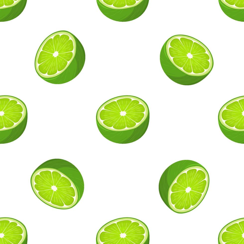 Seamless pattern with fresh bright exotic half lime fruit on white background. Summer fruits for healthy lifestyle. Organic fruit. Cartoon style. Vector illustration for any design.