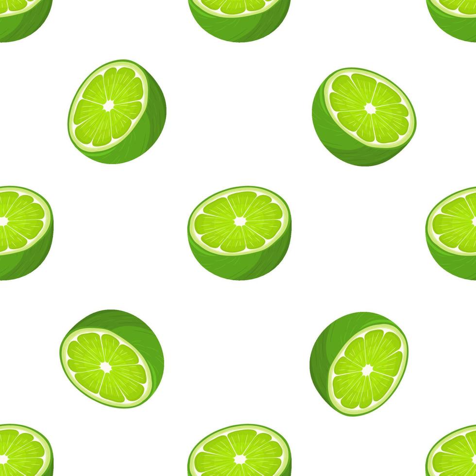 Seamless pattern with fresh bright exotic half lime fruit on white background. Summer fruits for healthy lifestyle. Organic fruit. Cartoon style. Vector illustration for any design.