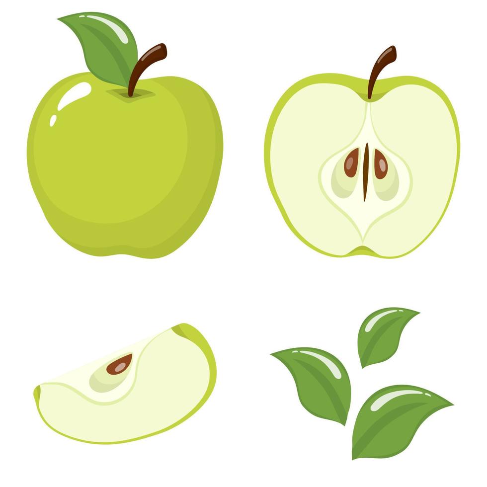 Set of fresh whole, half, cut slice and leaves green apple fruit isolated on white background. Summer fruits for healthy lifestyle. Organic fruit. Cartoon style. Vector illustration for any design.