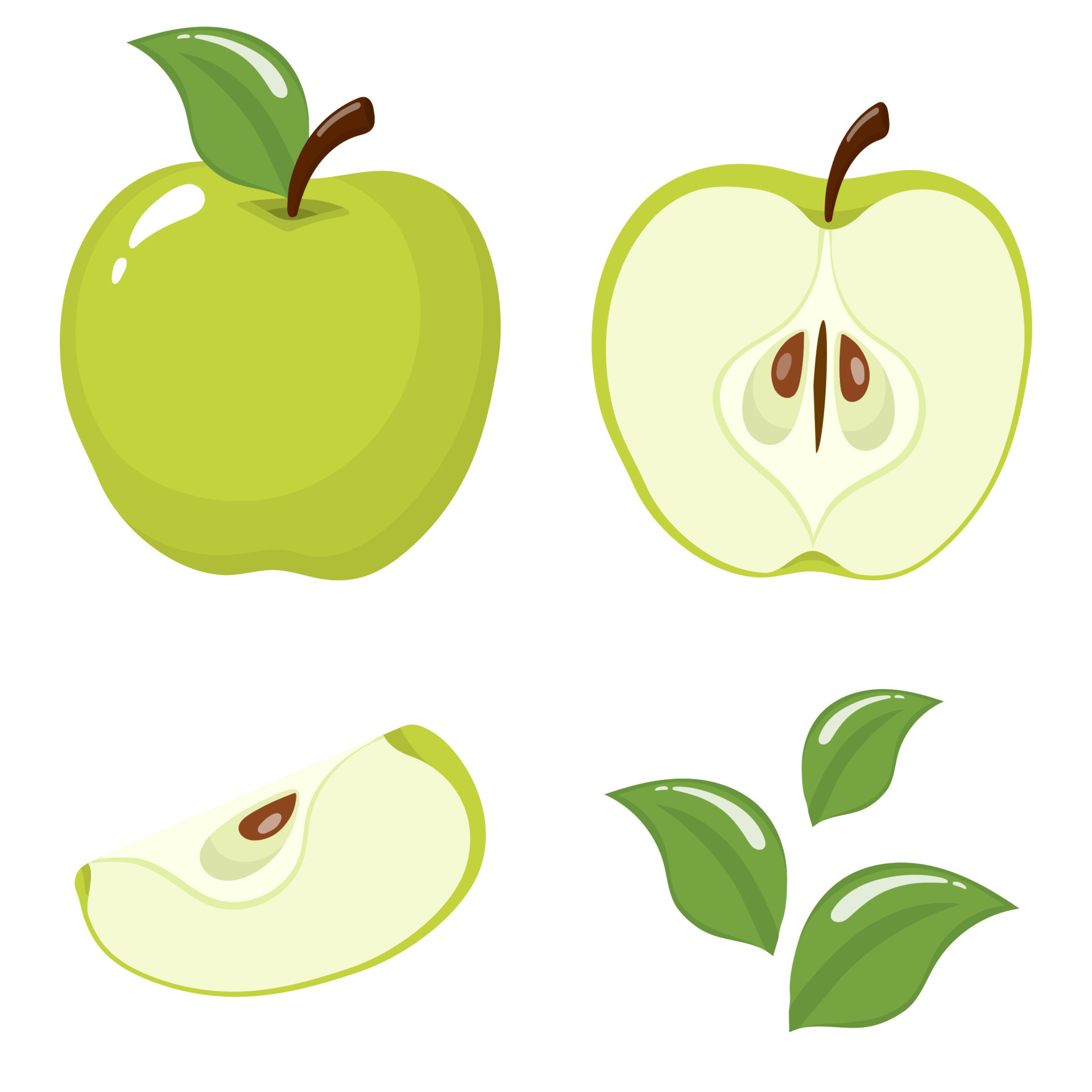 Set of fresh whole, half, cut slice and leaves green apple fruit
