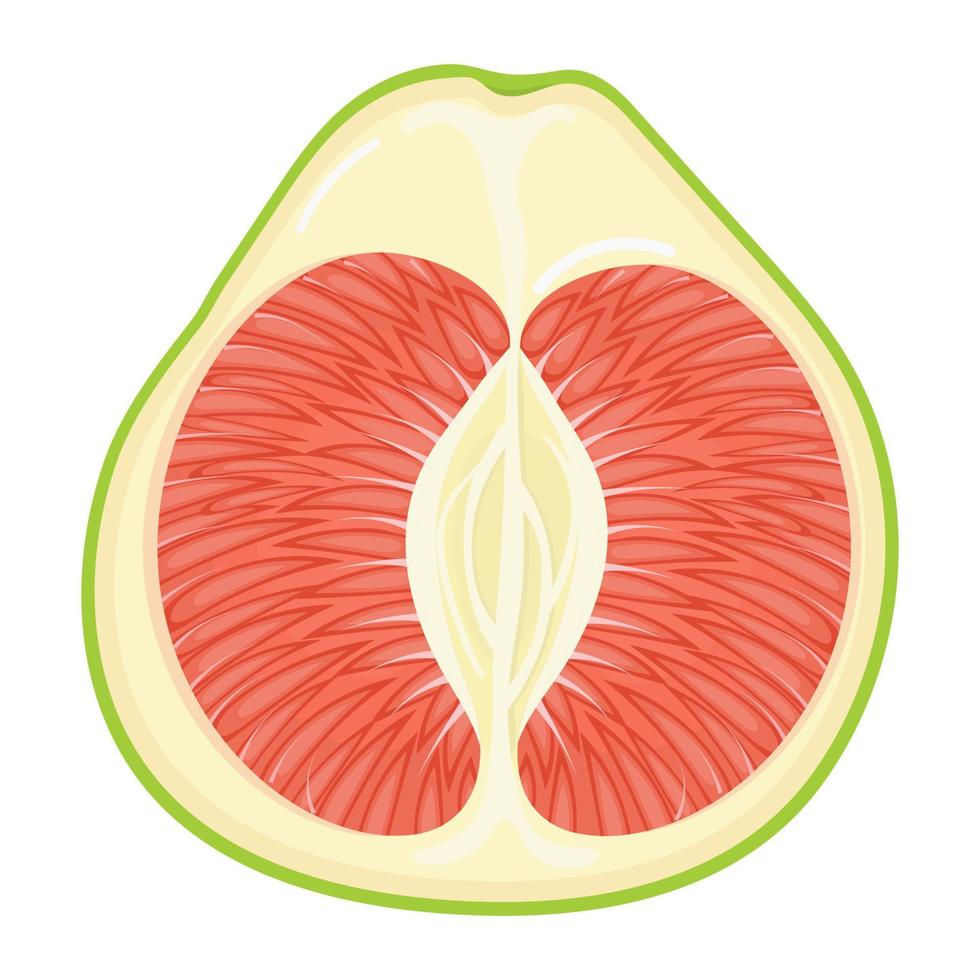 Fresh bright exotic half red pomelo fruit isolated on white background. Summer fruits for healthy lifestyle. Organic fruit. Cartoon style. Vector illustration for any design.