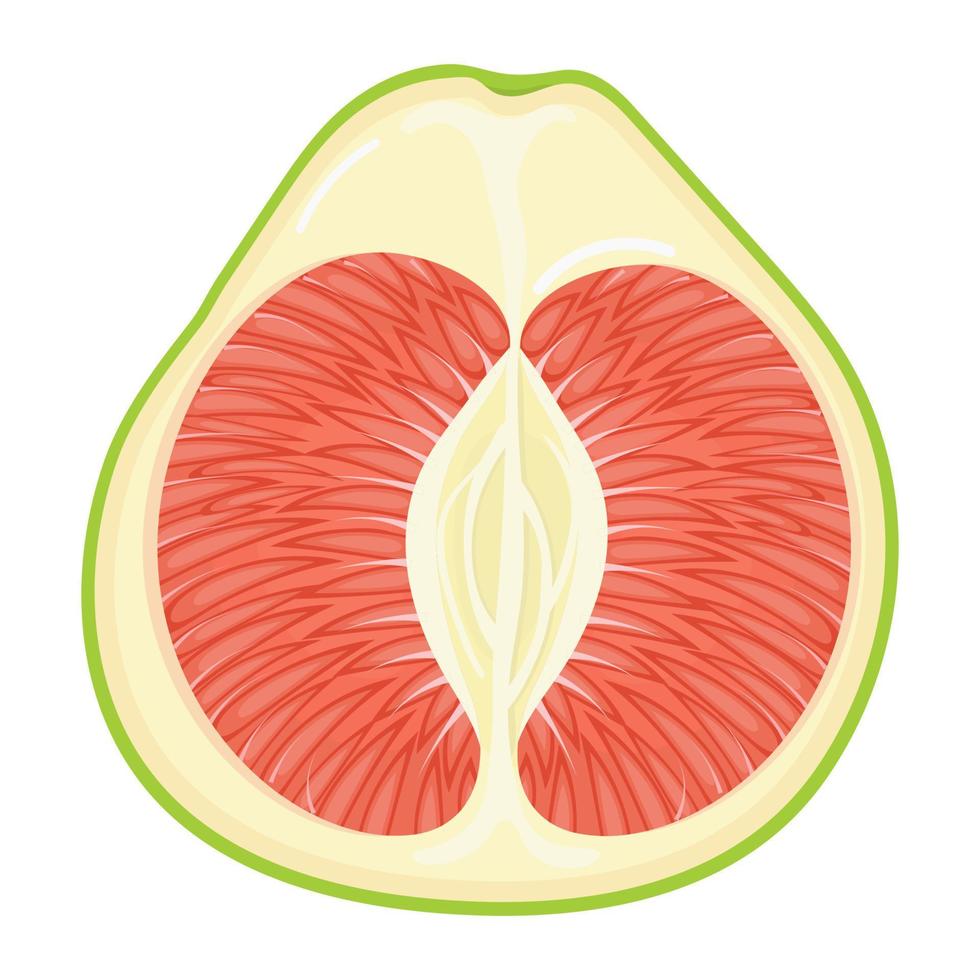 fruta de pomelo roja exótica fresca y brillante aislada en fondo blanco. frutas de verano para un estilo de vida saludable. fruta organica estilo de dibujos animados ilustración vectorial para cualquier diseño. vector