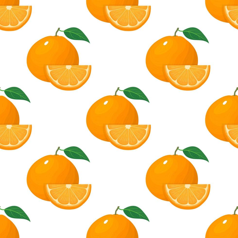 Seamless pattern with fresh bright exotic whole and slice tangerine or mandarin isolated on white background. Summer fruits for healthy lifestyle. Organic fruit. Vector illustration for any design.