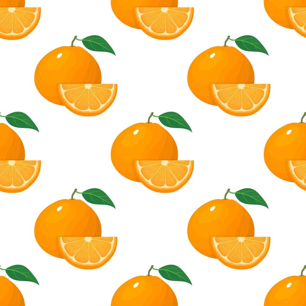 Seamless pattern with fresh bright exotic whole and slice tangerine or mandarin isolated on white background. Summer fruits for healthy lifestyle. Organic fruit. Vector illustration for any design.