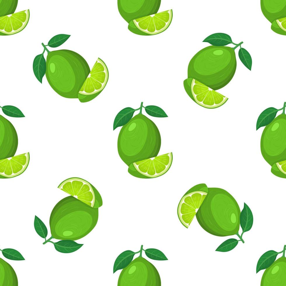 Seamless pattern with fresh bright exotic whole and cut slice lime fruit on white background. Summer fruits for healthy lifestyle. Organic fruit. Cartoon style. Vector illustration for any design.