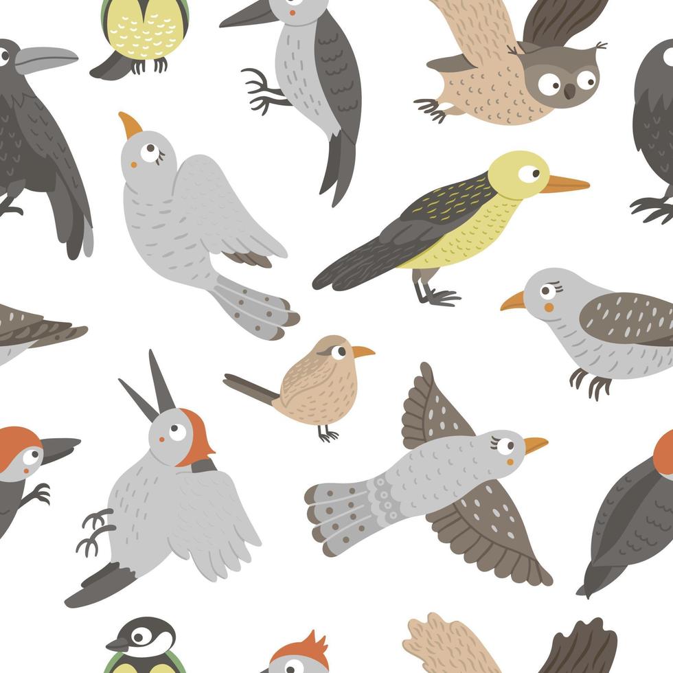 Vector seamless pattern of hand drawn flat funny woodland birds. Cute repeat background with Owl, Cuckoo, Raven, Woodpecker, Wren, Oriole. Cute ornithological ornament