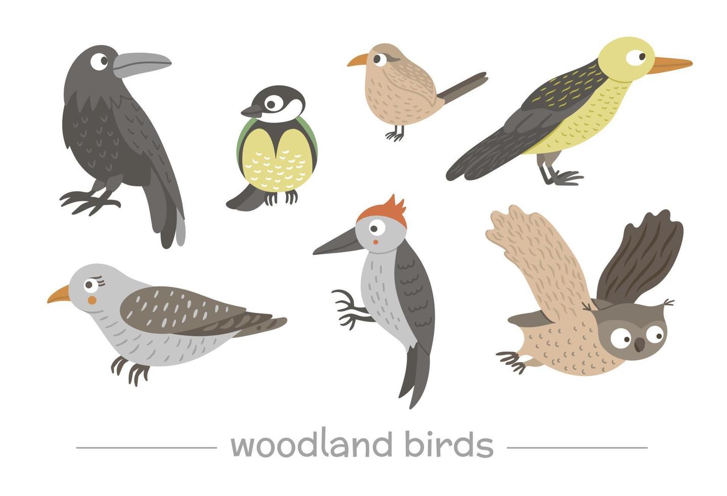 conjunto vectorial de cucos divertidos planos dibujados a mano de estilo de dibujos animados, pájaros carpinteros, búhos, cuervos, reyezuelos. linda ilustración de pájaros del bosque vector