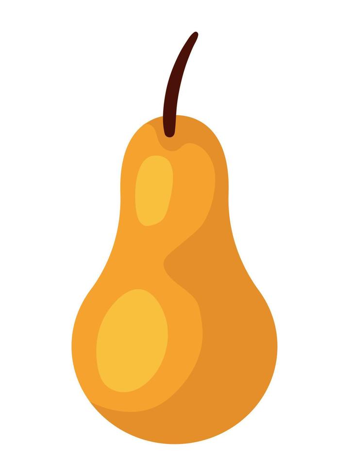 pear fruit autumn season vector