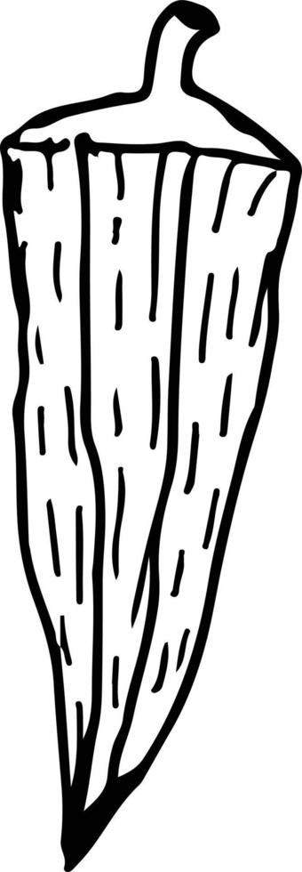 Hot pepper line. vector