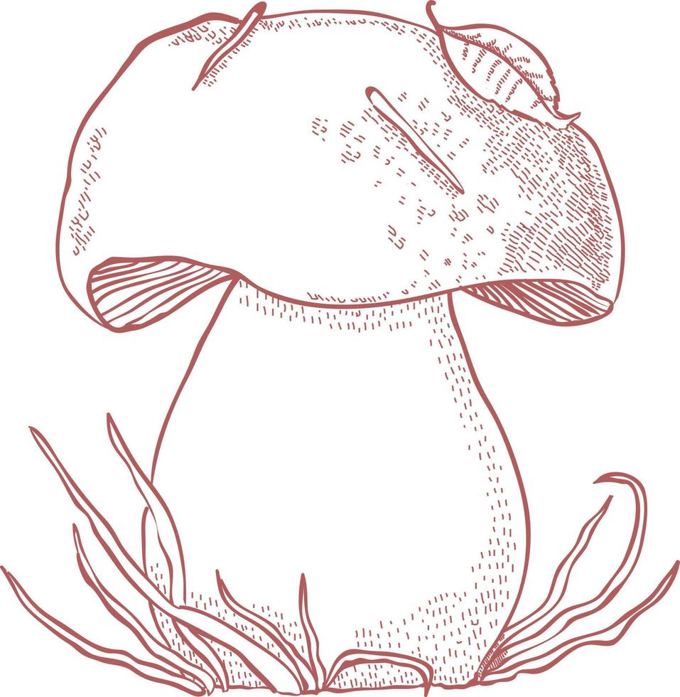 White forest mushroom. vector