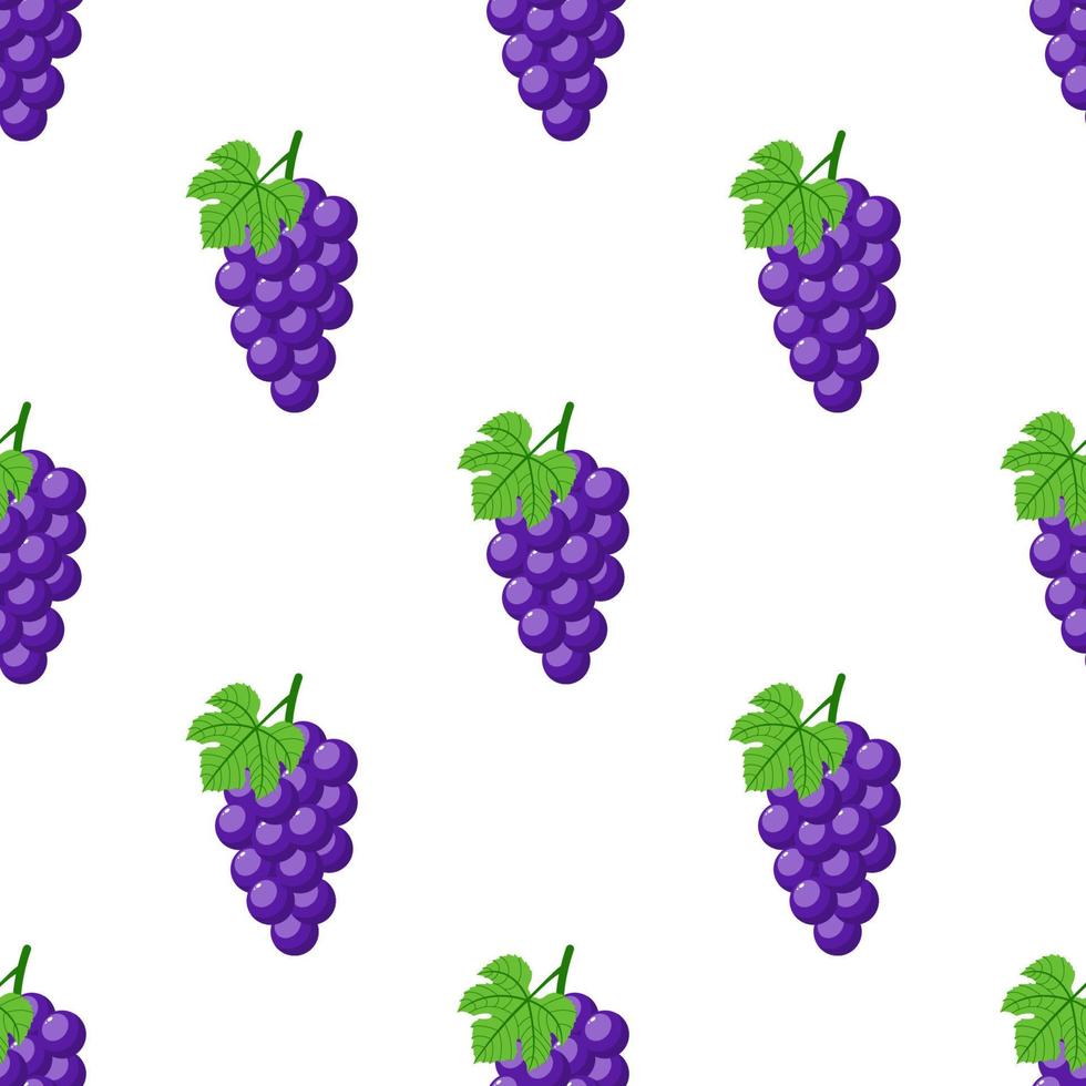 Seamless pattern with purple grapes on white background. Bunch of purple grapes with stem and leaf. Cartoon style. Vector illustration for design, web, wrapping paper, fabric, wallpaper