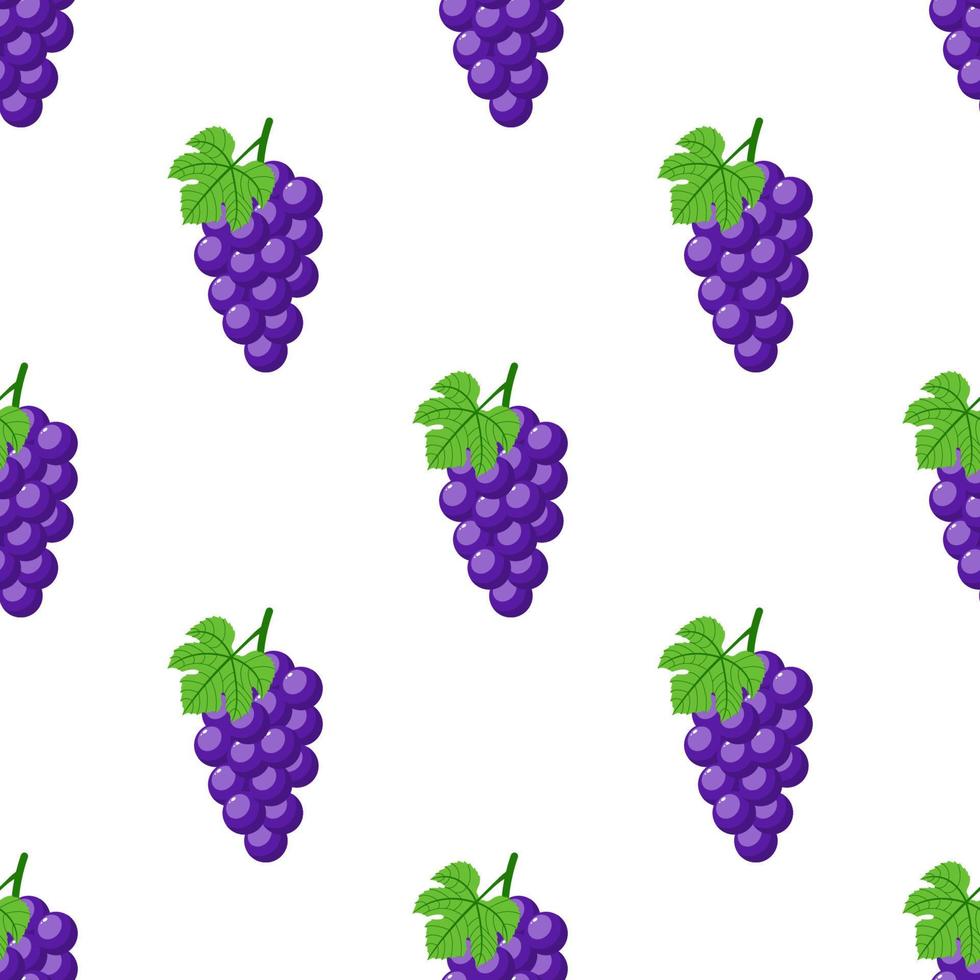 patrón sin costuras con uvas moradas sobre fondo blanco. racimo de uvas moradas con tallo y hoja. estilo de dibujos animados ilustración vectorial para diseño, web, papel de envolver, tela, papel tapiz vector