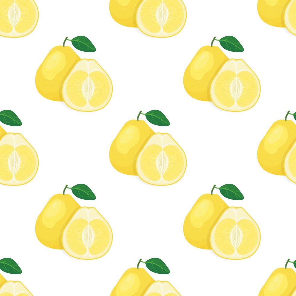 Seamless pattern with fresh bright exotic whole and cut slice pomelo fruit on white background. Summer fruits for healthy lifestyle. Organic fruit. Cartoon style. Vector illustration for any design