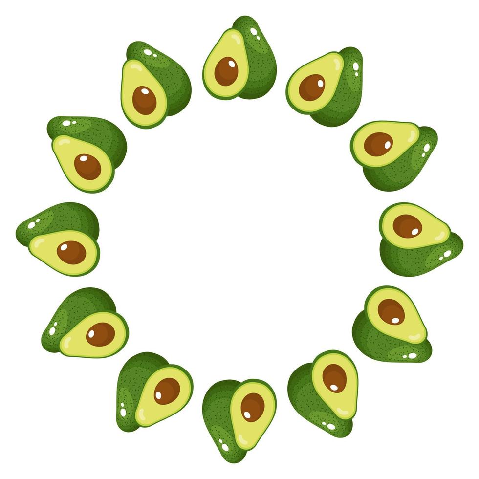 Wreath from whole and half avocado with space for text. Cartoon organic sweet food. Summer fruits for healthy lifestyle. Vector illustration for any design.