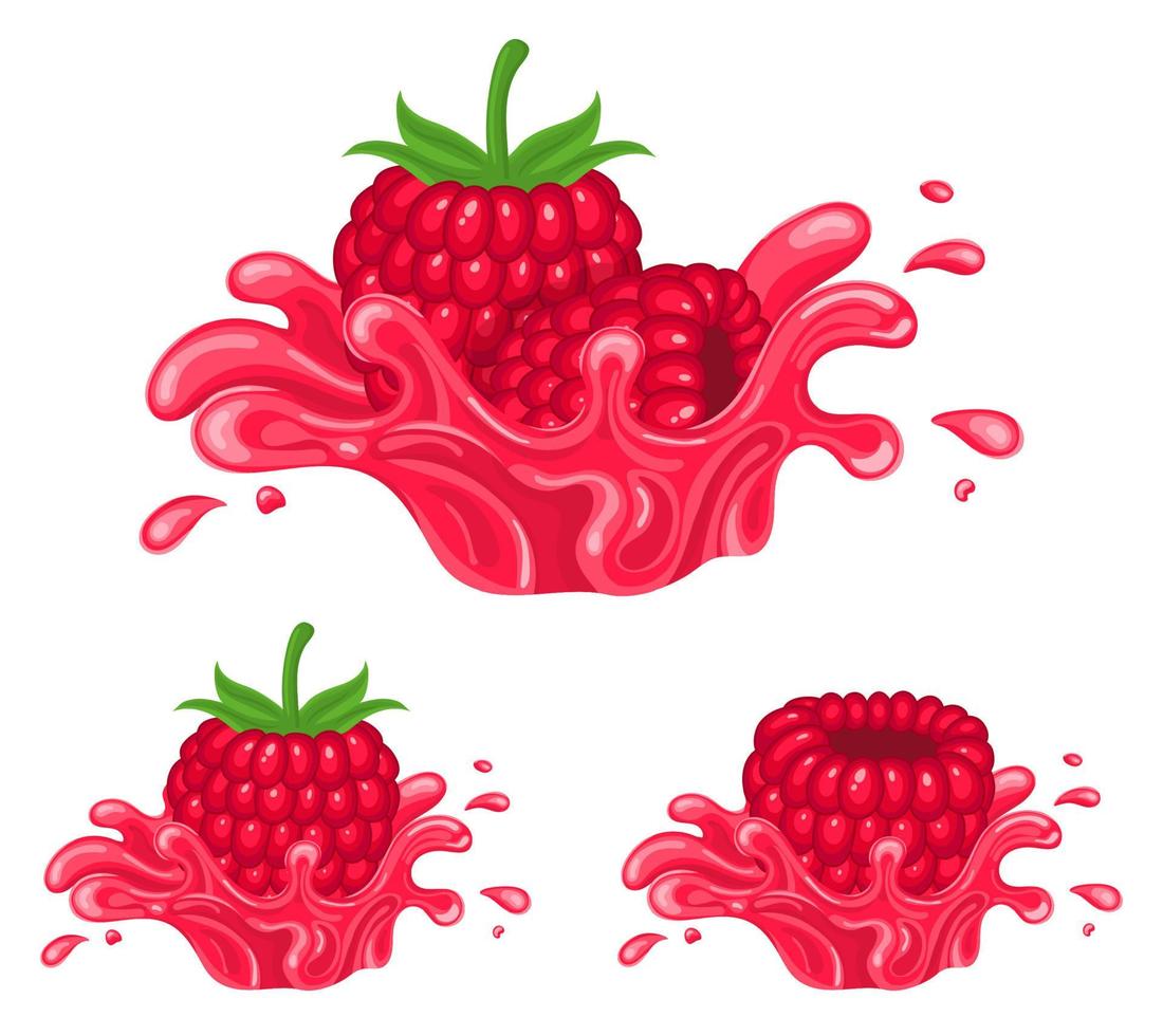 conjunto de salpicaduras de jugo de frambuesa frescas y brillantes aisladas en fondo blanco. jugo de frutas de verano. estilo de dibujos animados ilustración vectorial para cualquier diseño. vector