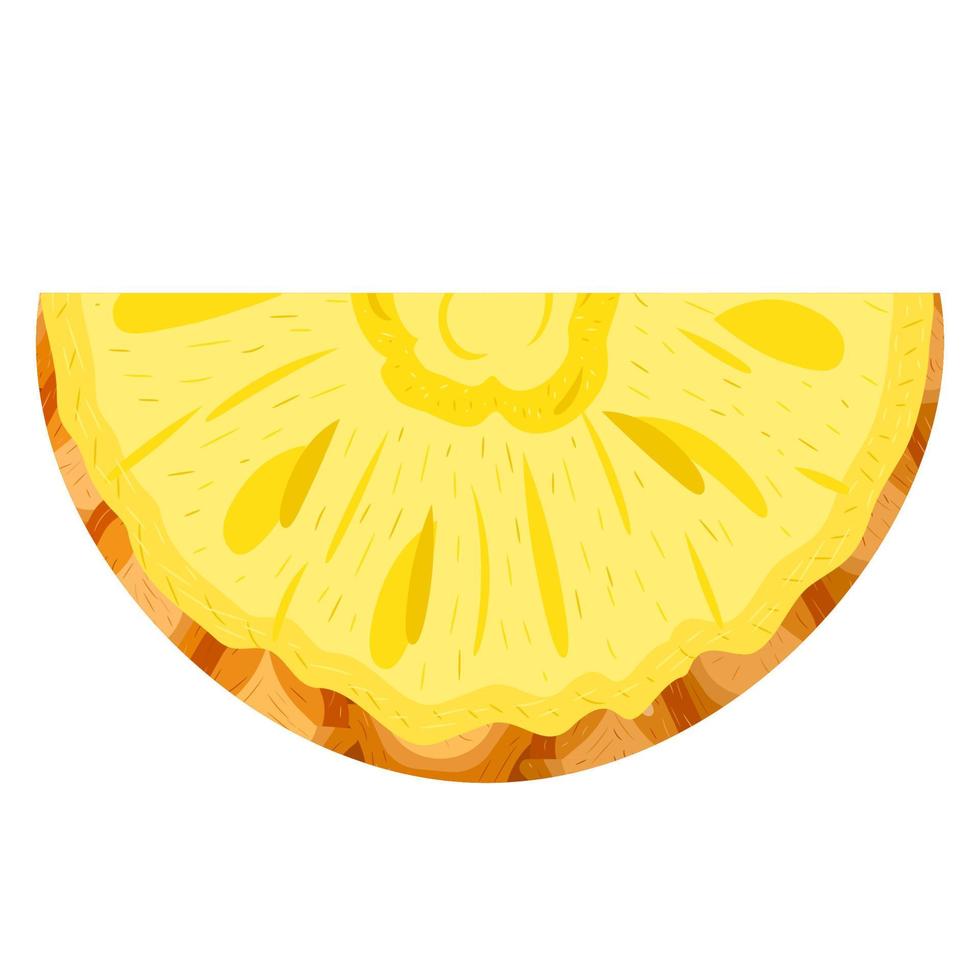 Fresh cut slice pineapple fruit isolated on white background. Summer fruits for healthy lifestyle. Organic fruit. Cartoon style. Vector illustration for any design.