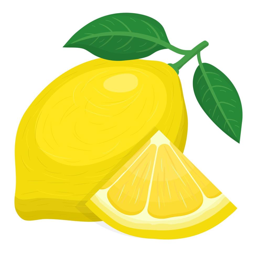 Fresh bright exotic whole and cut slice lemon fruit isolated on white background. Summer fruits for healthy lifestyle. Organic fruit. Cartoon style. Vector illustration for any design.