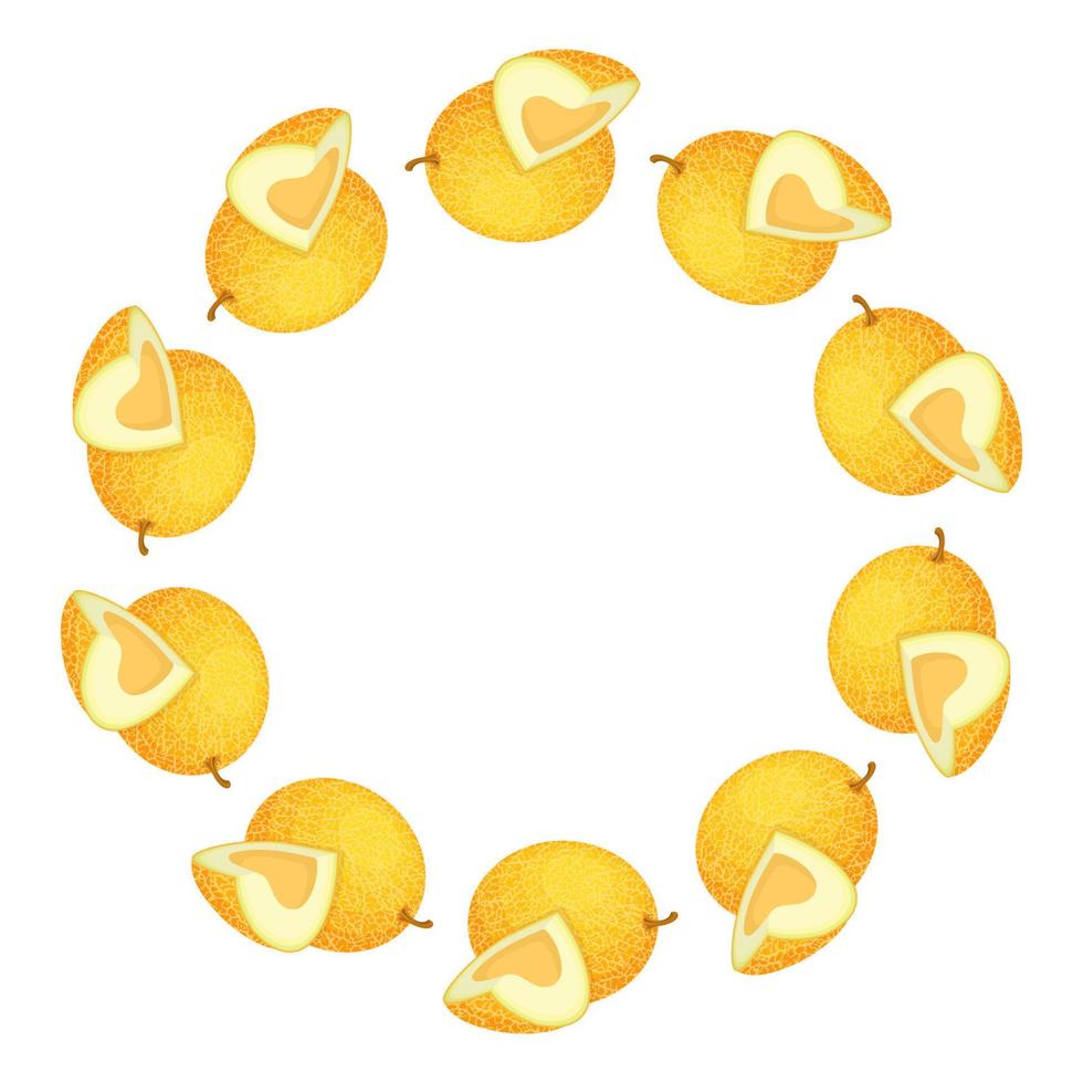 corona de melón amarillo con espacio para texto. comida dulce orgánica de dibujos animados. frutas de verano para un estilo de vida saludable. ilustración vectorial para cualquier diseño. vector